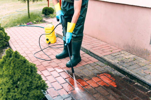 Best Solar Panel Cleaning  in Bluffton, SC